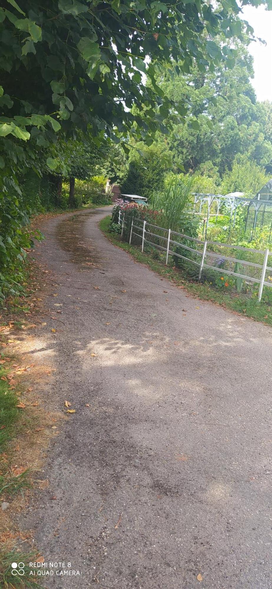 Logement Independant Attenant A Une Maison Dans Grand Jardin Retournac Esterno foto